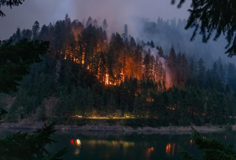 Photo of the 2024 Coffee Pot Fire in Willamette National Forest