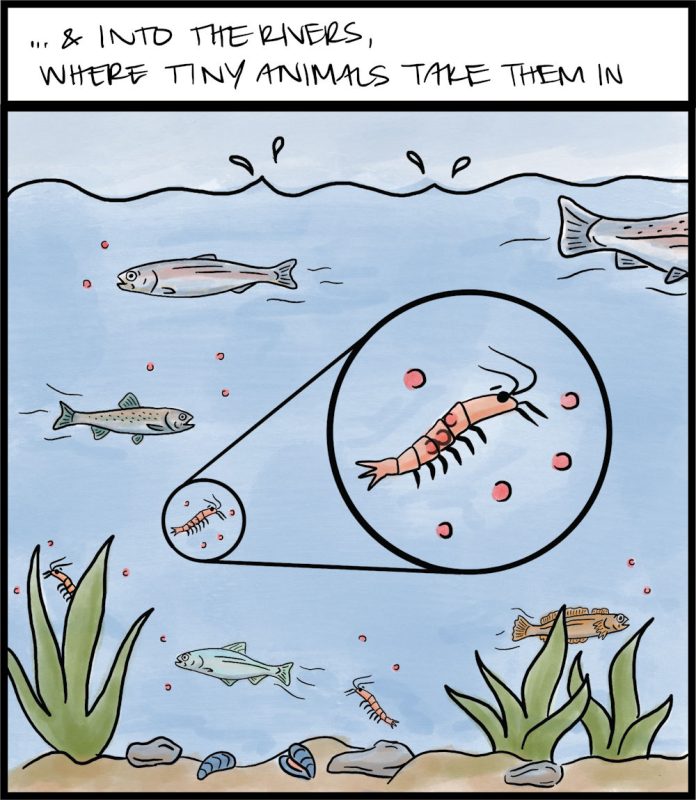 Nanoplastic comic illustration, frame 2