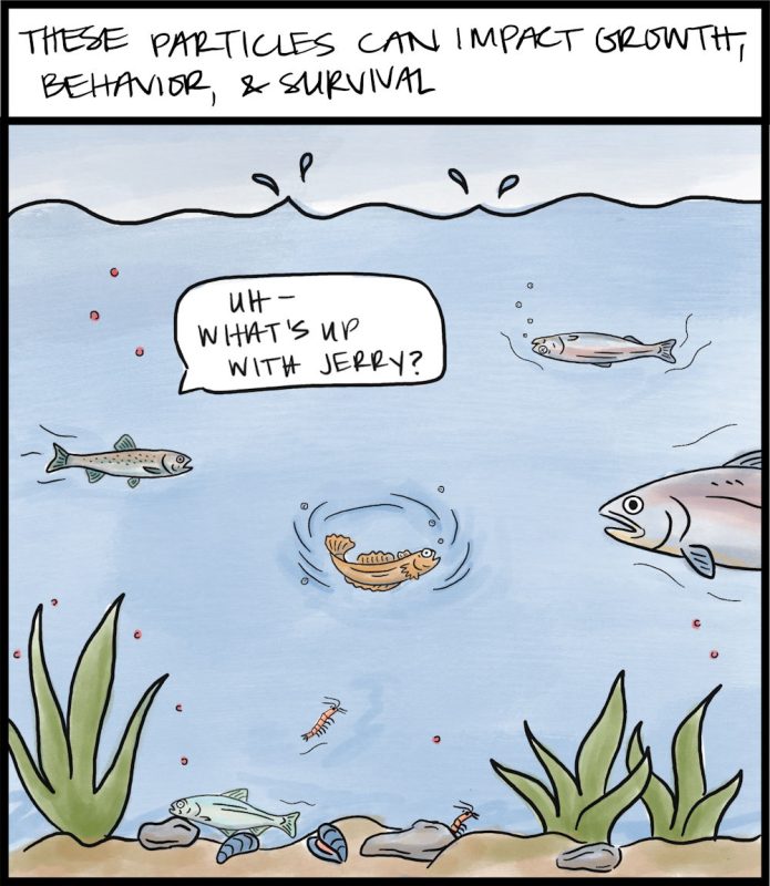 Nanoplastic comic illustration, frame 3
