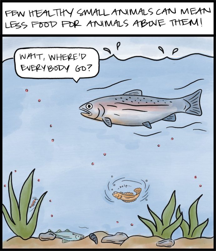 Nanoplastic comic illustration, frame 4